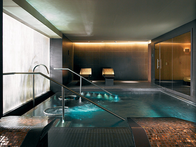 Luxusní nerezový bazén, sauna a vyhřívaná lehátka